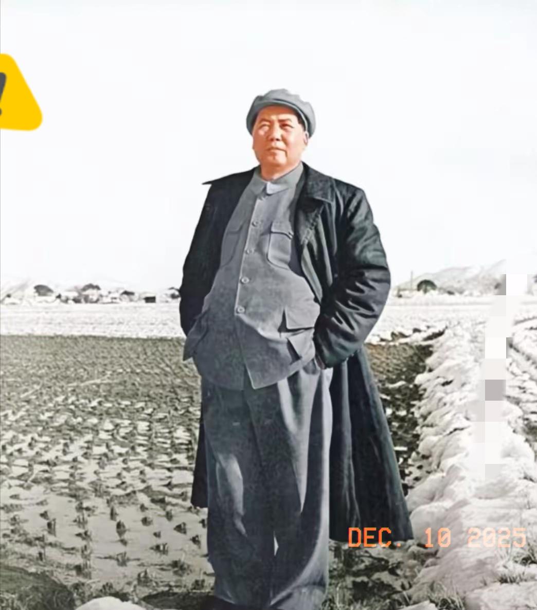 毛主席不是专研历史的，但是他是真正的历史学家，老人家看透了历史，他替秦皇翻案，替