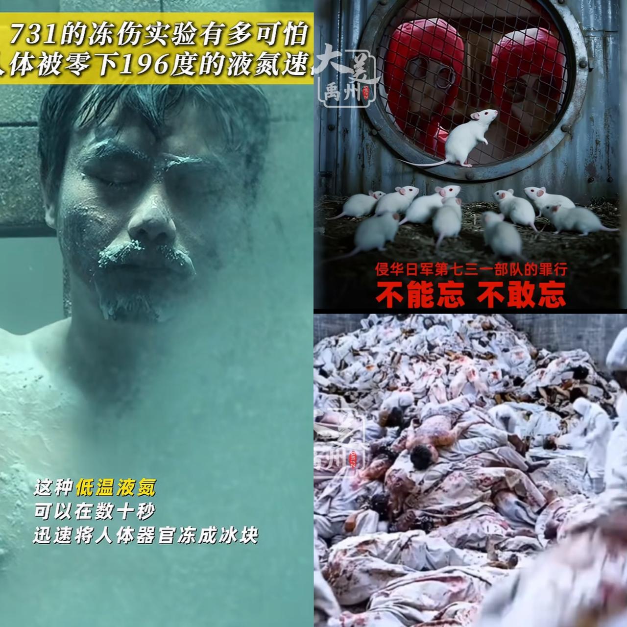 我猜到《731》会官宣定档，也想到它会撕开樱花国暴行的遮羞布！但万万没想到，
