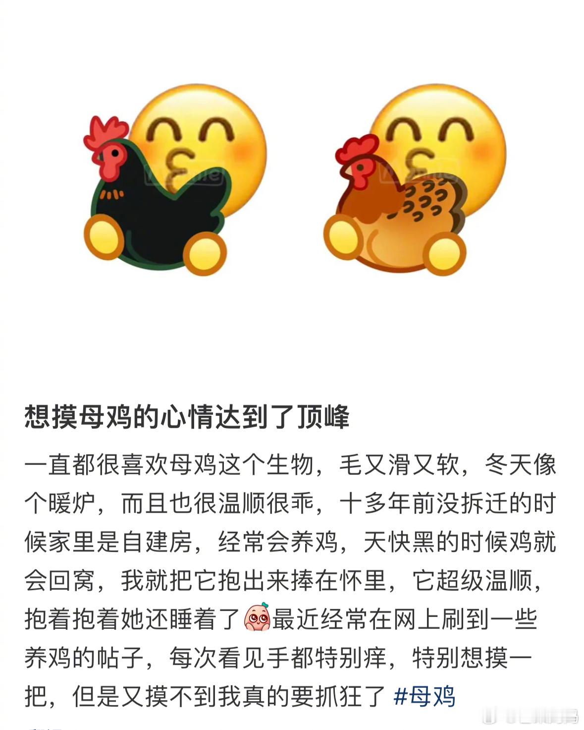 任何人都可以上网，包括黄鼠狼[赞]​​​