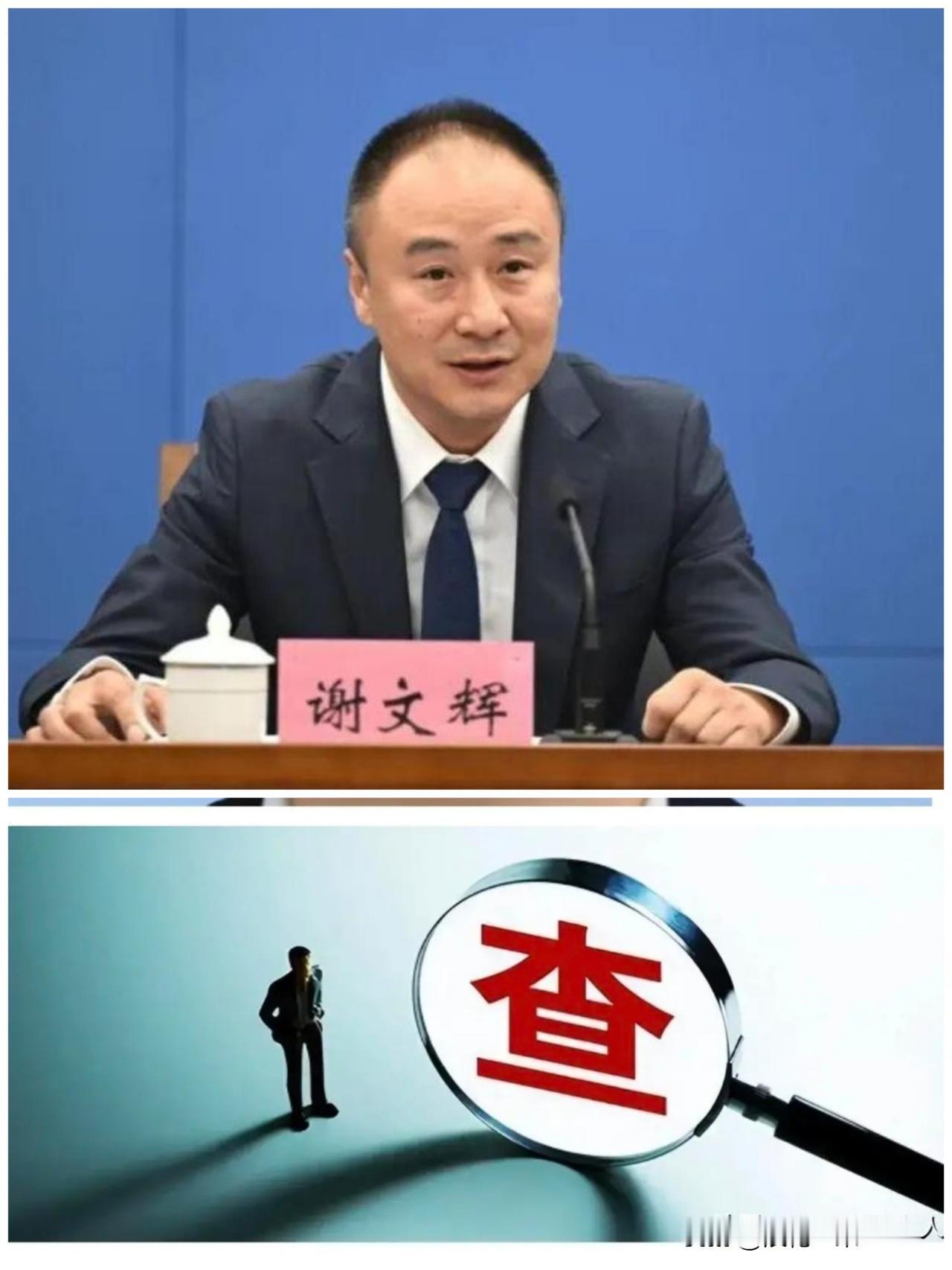 ……2026年9月12日，据重庆纪委监委消息❗️职务刚刚没了22天的“谢文辉