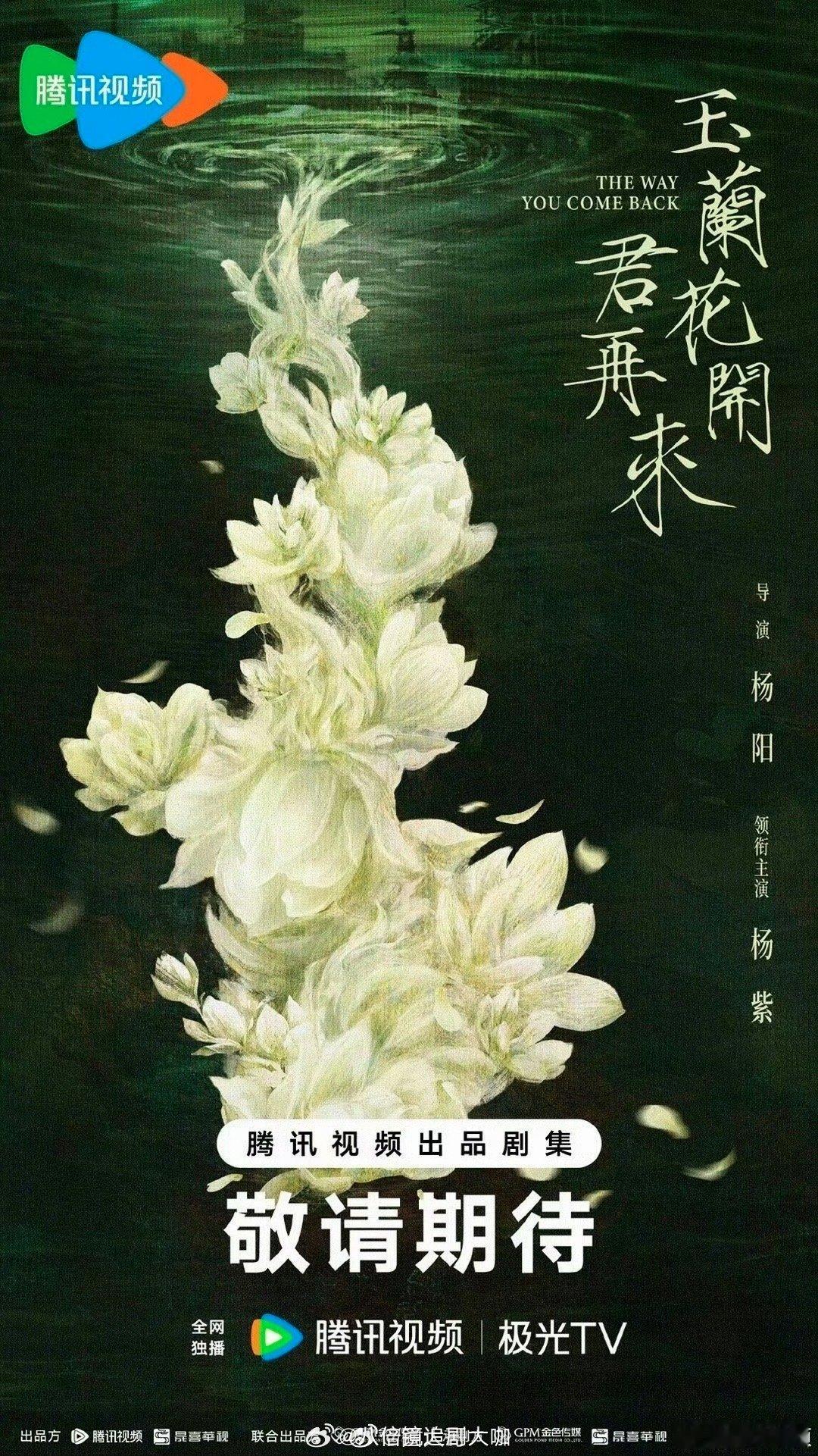 杨紫玉兰花开君再来两版阵容阿也，杨紫《玉兰花开君再来》居然有两版阵容啊，看得出来