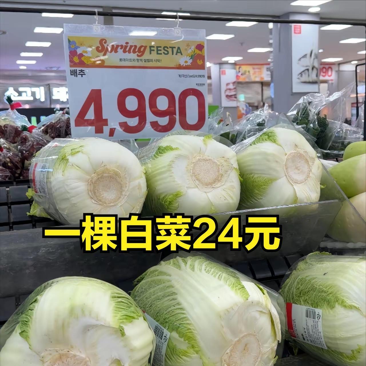 韩国首尔超市物价大曝光，大家看到底贵不贵？一个西瓜5斤多，折合人民币110元，