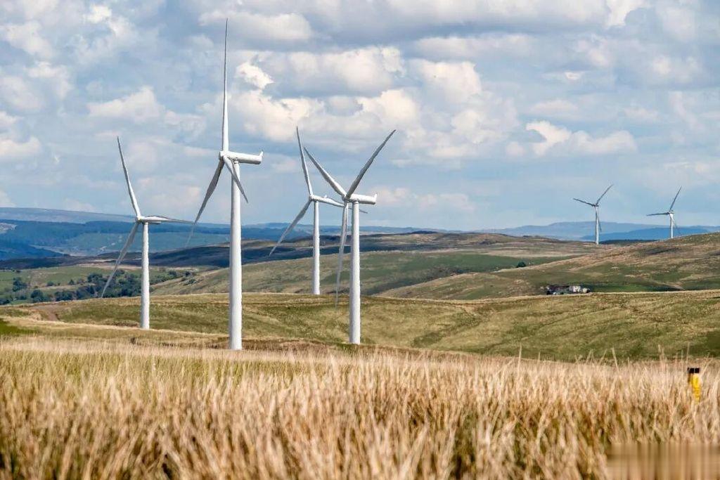 浙江嘉兴杀出一家IPO, 报告期内分红近11.4亿元, 原料采购依赖关联企