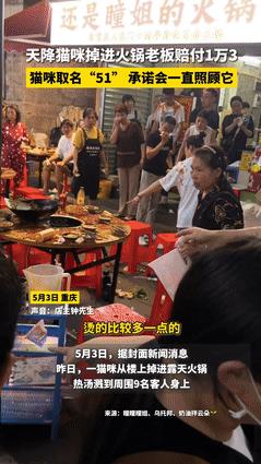 “活该他发财！”5月2日，重庆一流浪猫跳进火锅，导致周围顾客全被烫伤，可老板只用