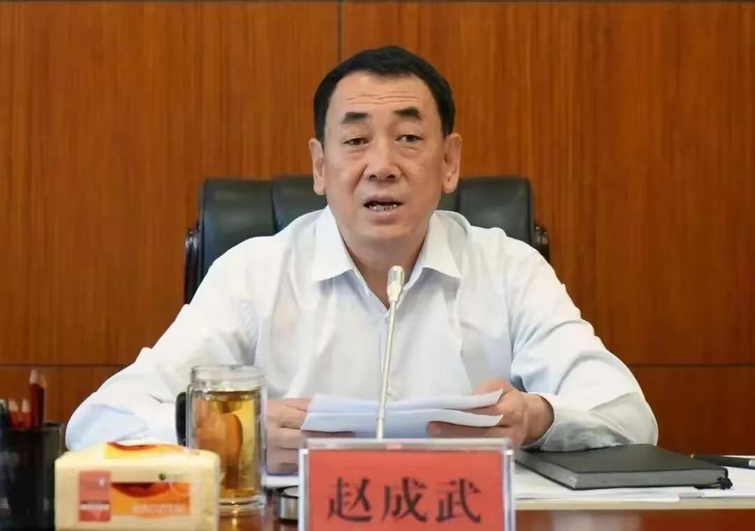 泥马，穿红赤黑呀！数额特别巨大的赵成武，在南涧、大理、迪庆和昆明为哪些人的案