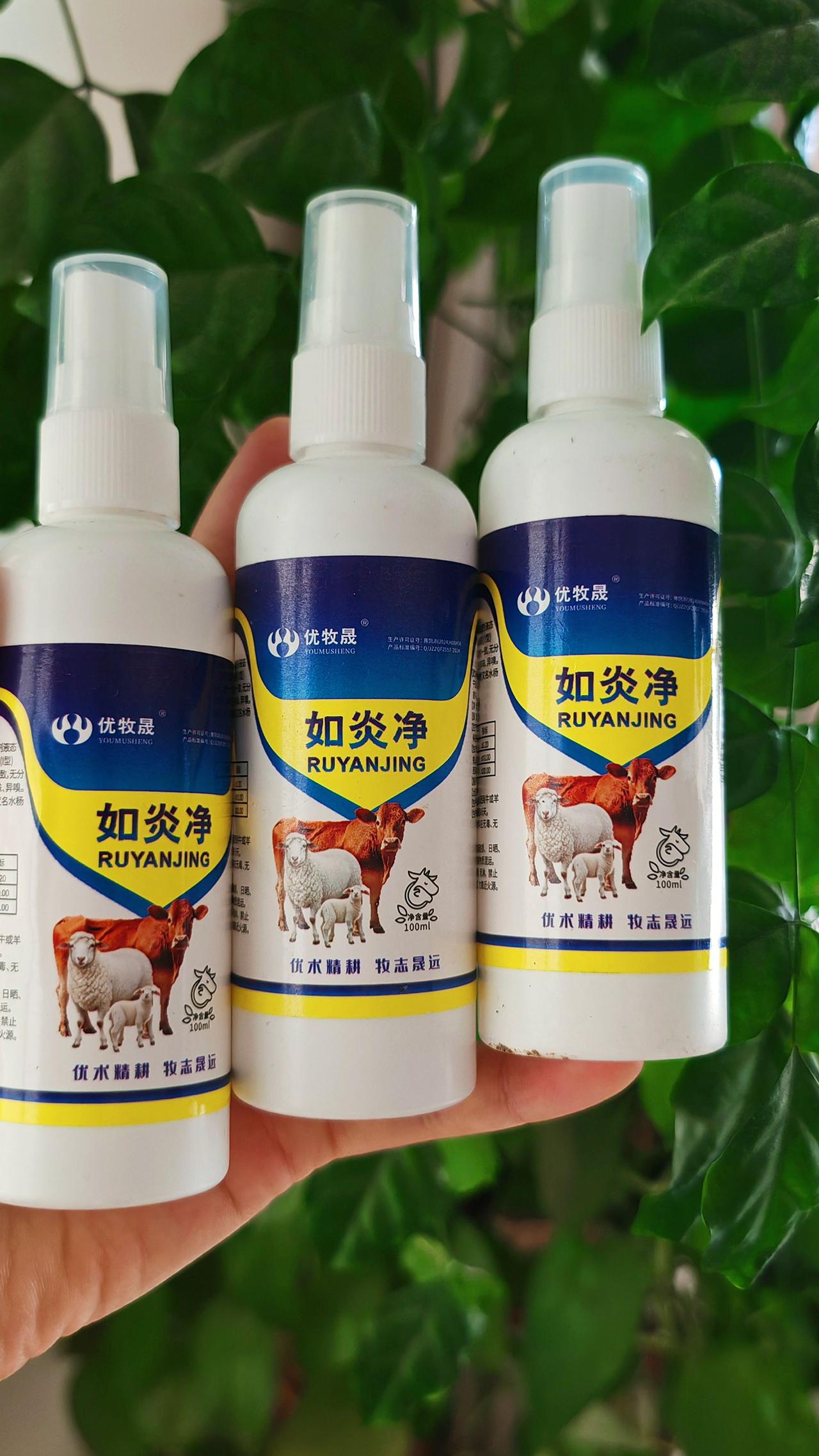 养羊人农村养羊牛羊养殖