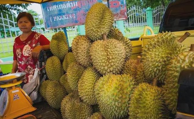还在做梦？今年，菲律宾果农豪赌了一把5.4万吨榴莲，认定果子成熟之后，就能卖给中