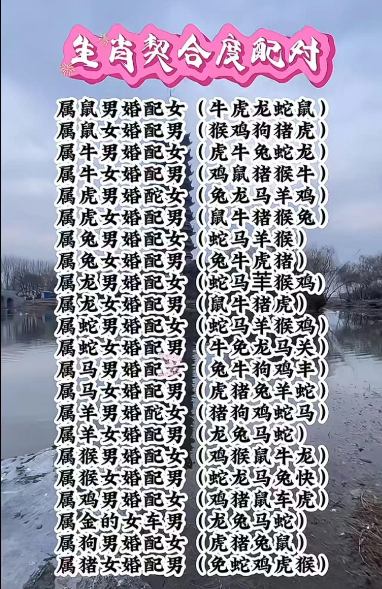 生肖爱情配对大揭秘！你和他/她合适吗？