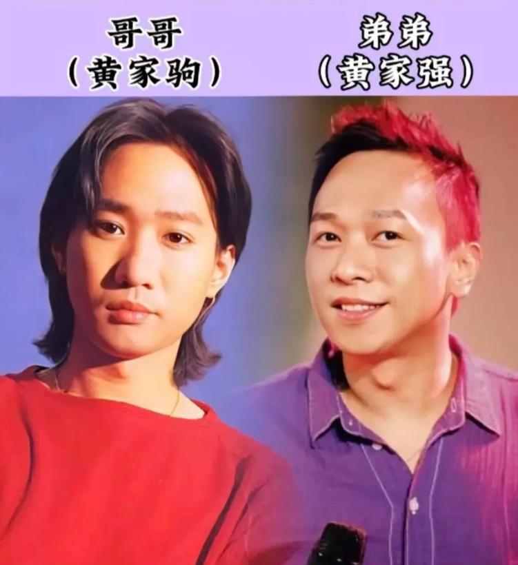 黄家驹，弟弟黄家强，Beyond乐队的贝斯手，娶了个日本女孩。胡兵，哥哥胡东，