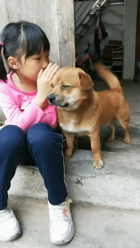 说到狗心里了…，狗狗都泪目了[捂脸哭]