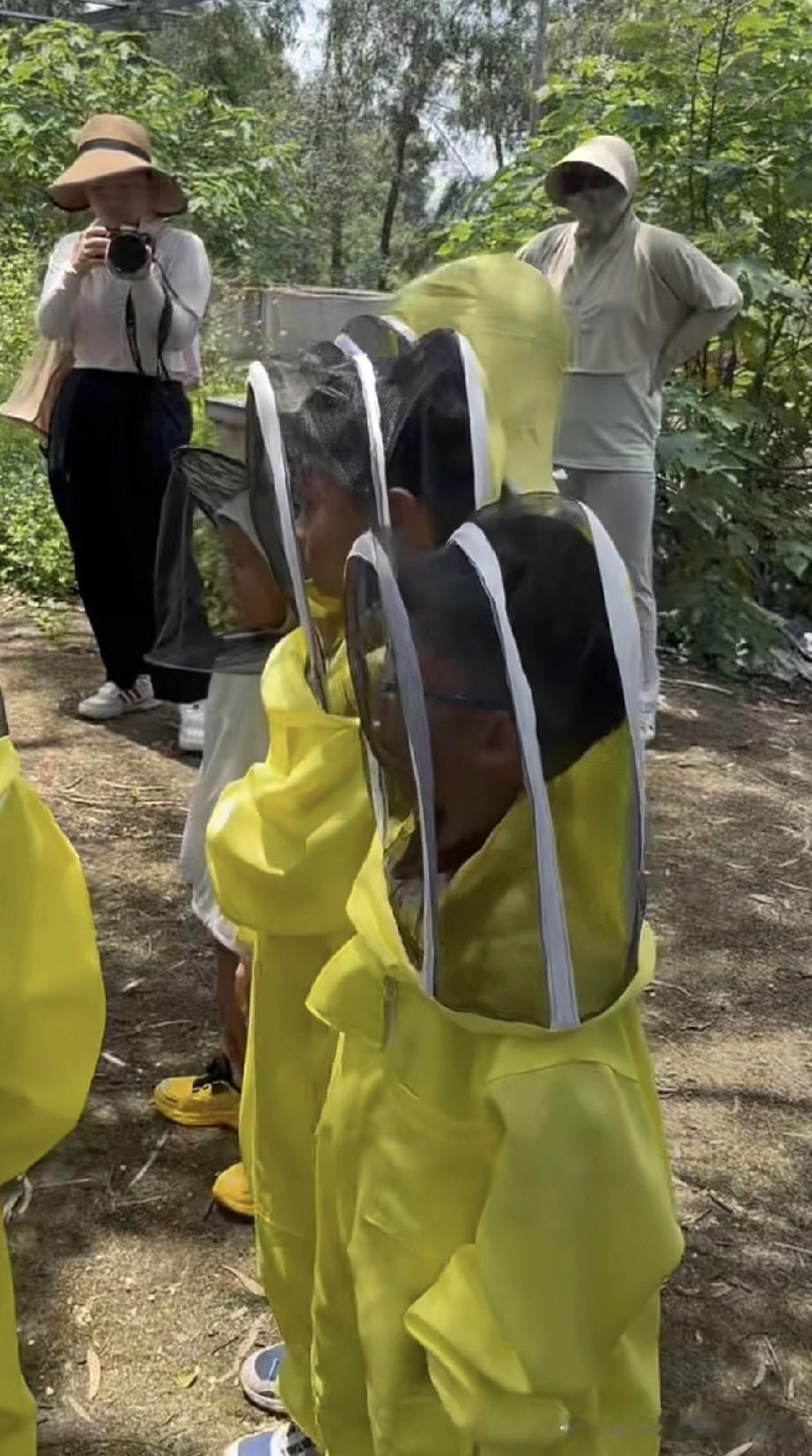 幼儿园把娃扔进蜂群！家长看完都炸了谁能想到，现在幼儿园玩这么野！一群萌娃裹