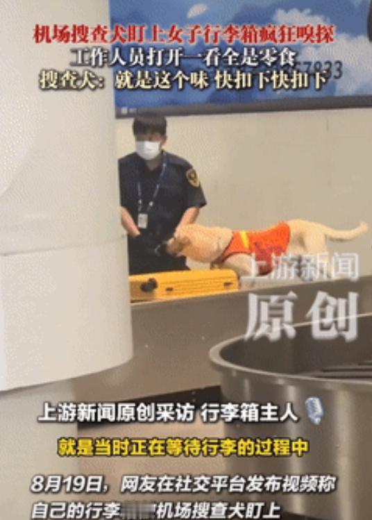 天津，一女子过机场安检时，搜查犬紧盯她的行李箱不肯离开，还不停嗅探，工作人员顿时