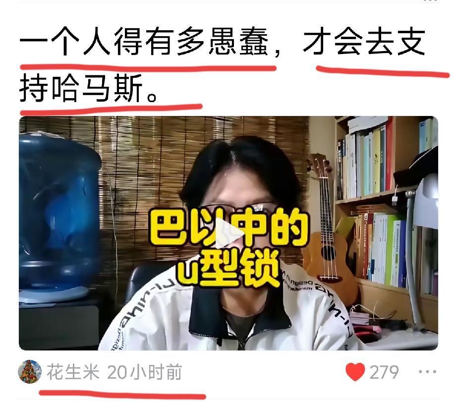 哈马斯就是个恐怖组织一个人得有多愚蠢，才会支持😡