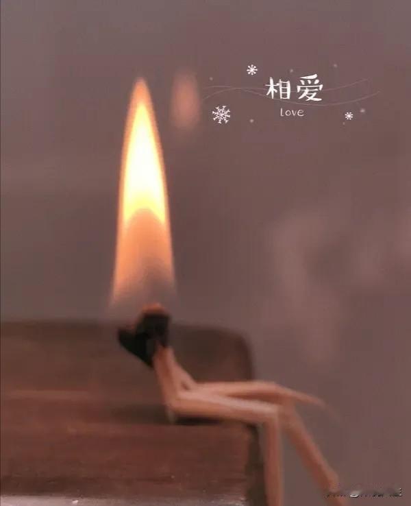 婚姻的瓦解，是从人人都会算账开始的。以前的婚姻，男人负责赚钱养家，钱我赚，事儿