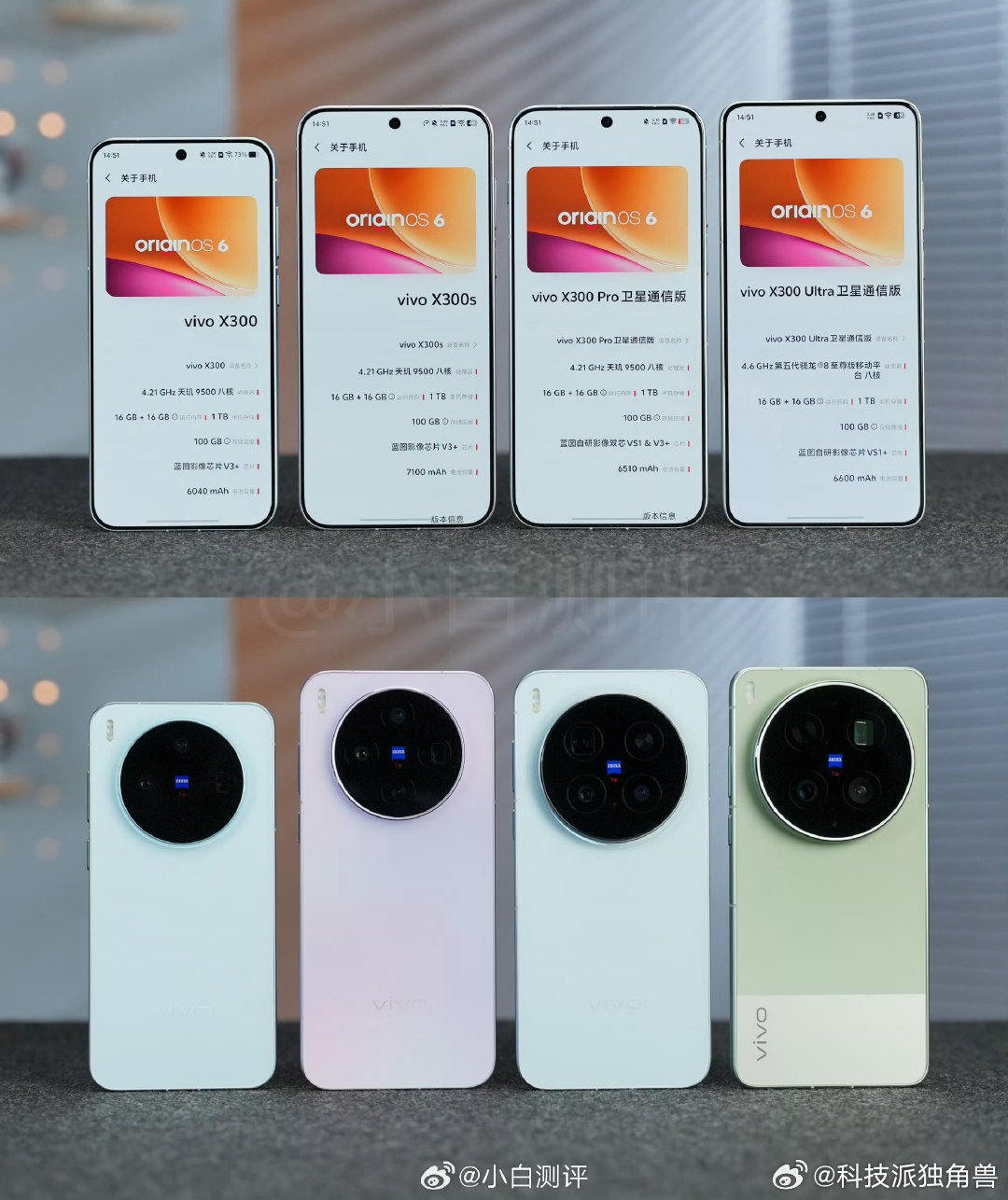 vivoX300系列全家福X300：6.31"天玑9500X300s：6.7