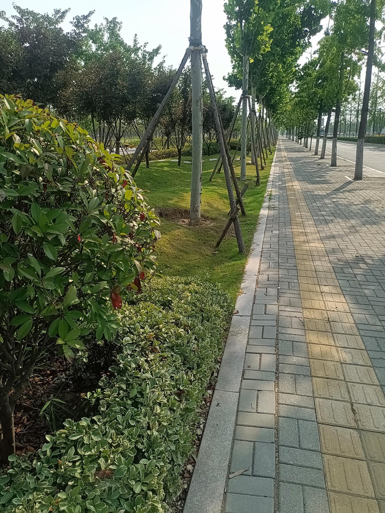 一位教育专家说：“存款比孩子的成绩重要10000倍。千万不要因为孩子的读书而砸钱