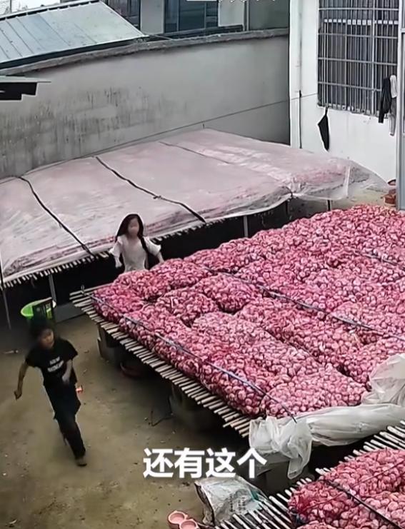 暖到了！江苏邳州，5月24日一场暴雨突然来袭，蒜农夫妇正在地里抢收，瞬间慌了神，