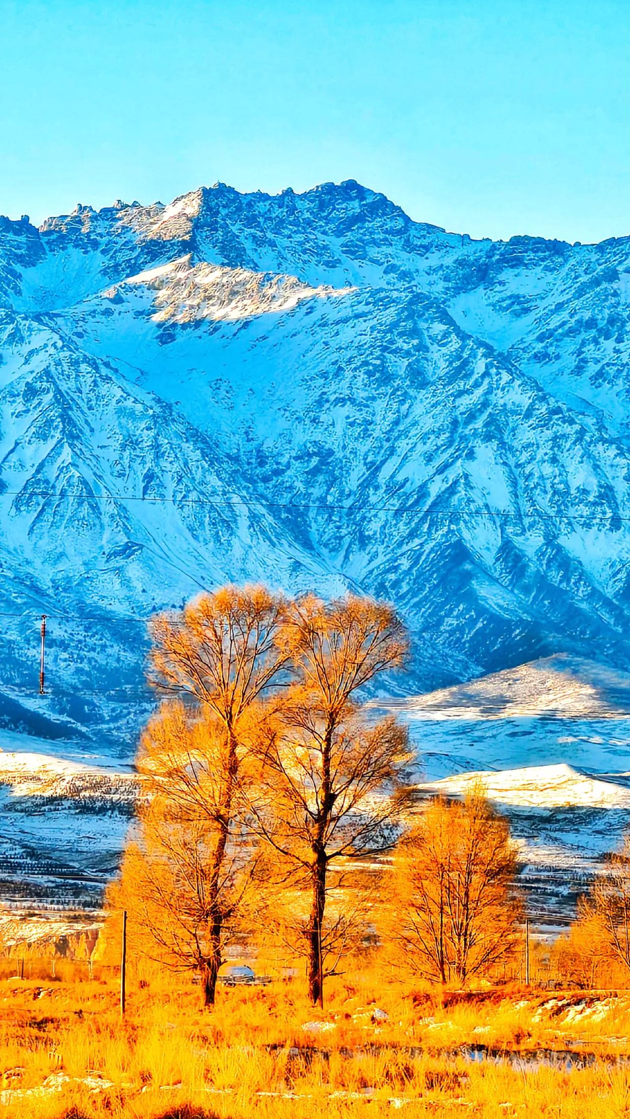 生活随想平淡日子最踏实，安稳时光就是喜。开口之前掂一掂，行动之前思一