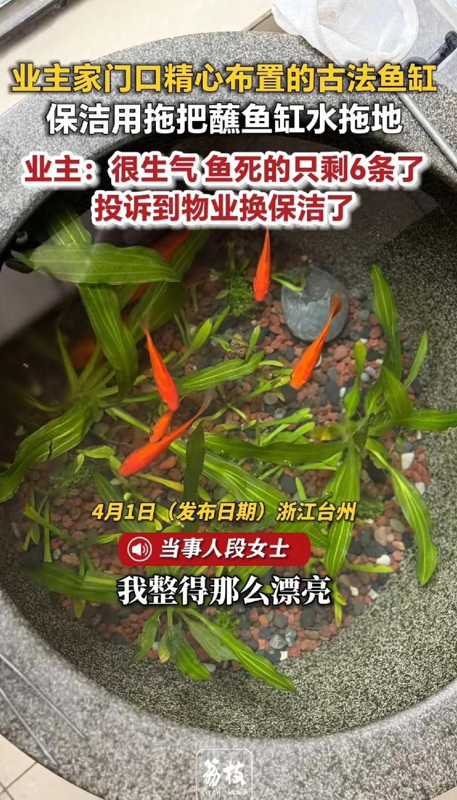 业主家门口精心布置的古法鱼缸小区保洁用拖把蘸鱼缸水拖地！业主：很生气鱼死了的只