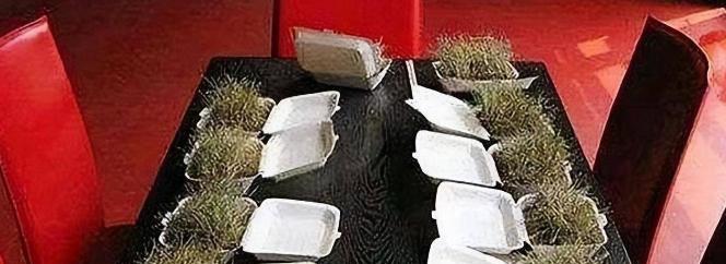 1976年起，一重庆男子吃草上瘾，34年吃了40吨草，闻到肉味就想吐，每天就靠吃