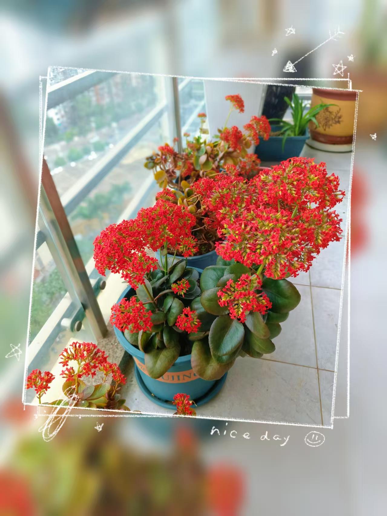 一位心理学家说：你的嘴就是你的风水。一个人说什么样的话，就会吸引什么样的能量