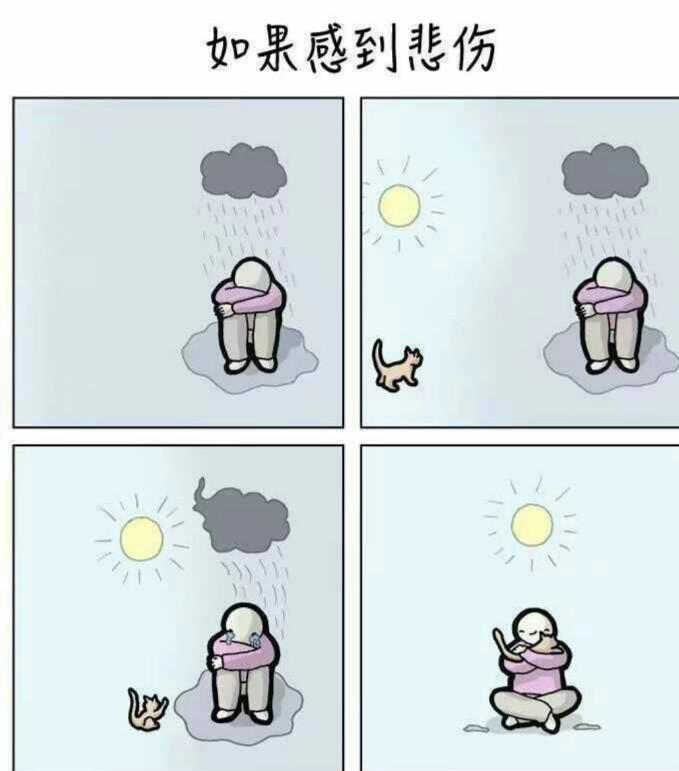 为什么, 抑郁症患者需要一只猫?