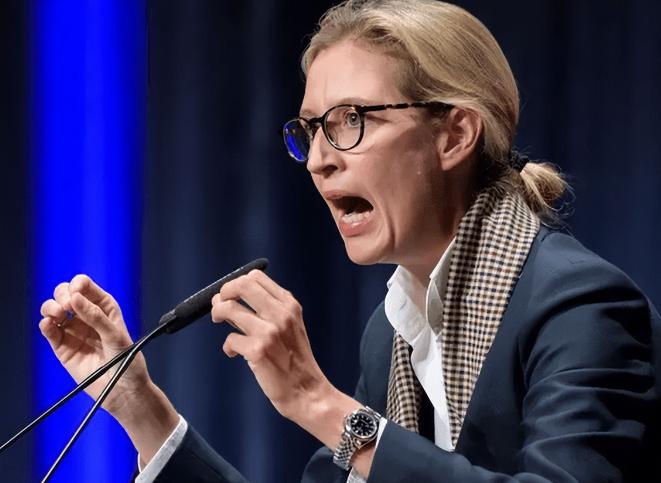 骂战发酵48小时！冯德莱恩硬刚魏德尔，欧盟内部炸锅，美国急着“灭火”？ 要弄