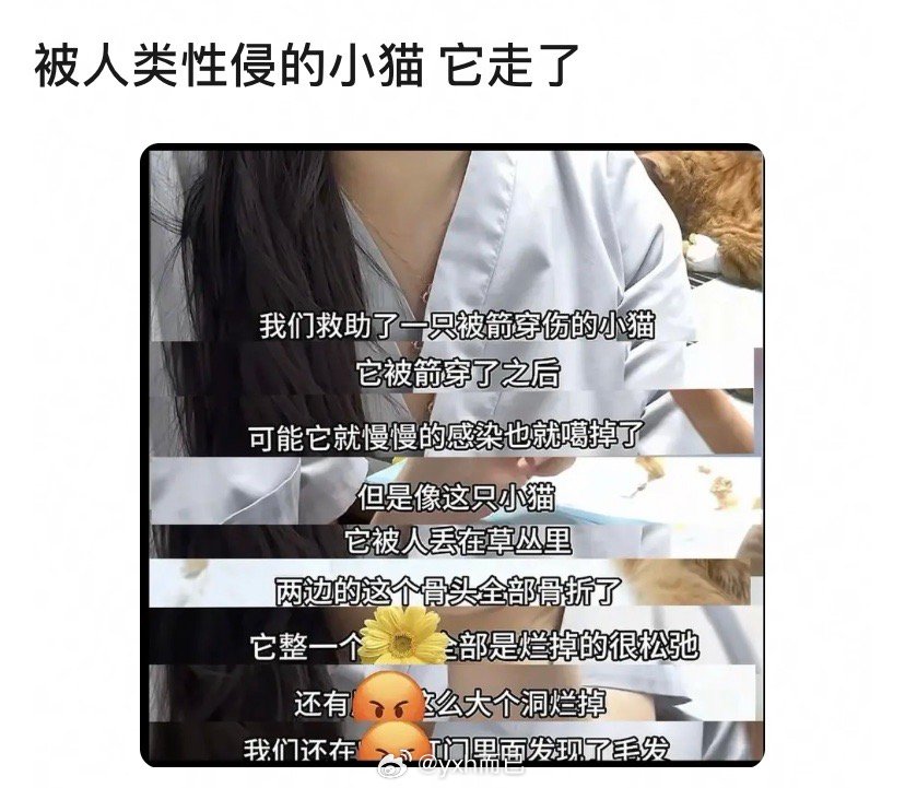 我看到的是中国字吗？？？？？