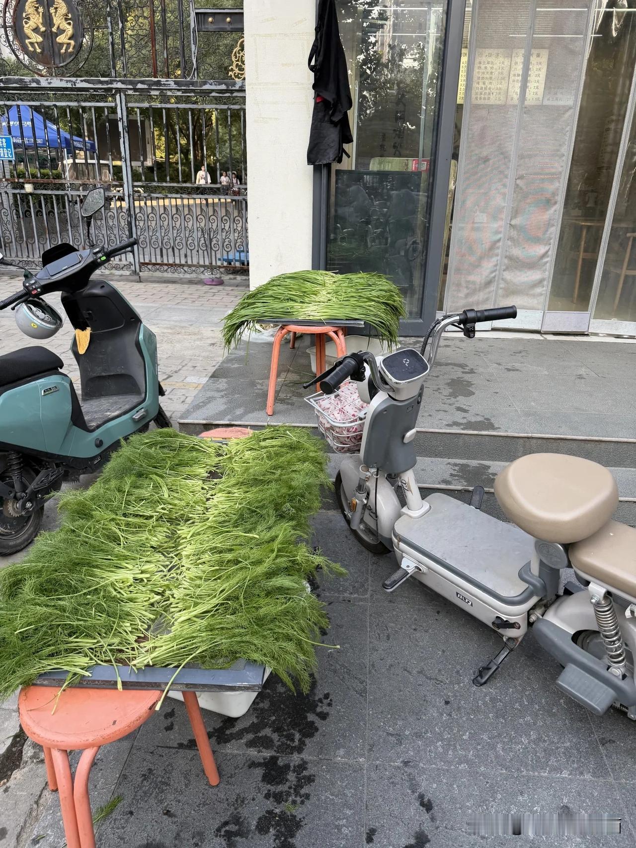 【今天吃韭菜馅还是茴香馅包子?】真好！这家开在学校旁边的早餐店。把食材直接晾晒在