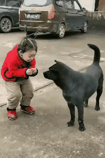 一块剩饼干，让狗子乐到忘形，这才是最朴素的快乐这一幕实在太有趣了，小主人把