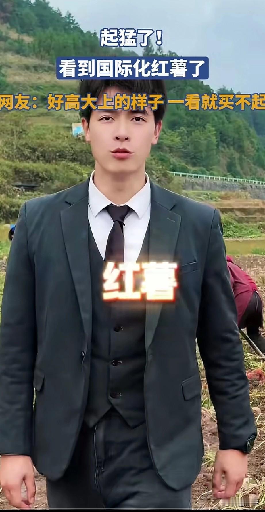 一觉醒来，红薯也成了国际奢侈品，一男子穿着西装来到了红薯产地！薅起来一串红薯！