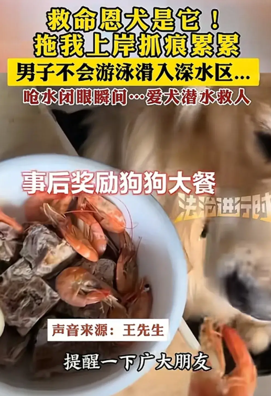 以后天天吃肉。湖北宜昌，因为天气太热，一男子就想着到水边玩凉快一下，结果不小心石