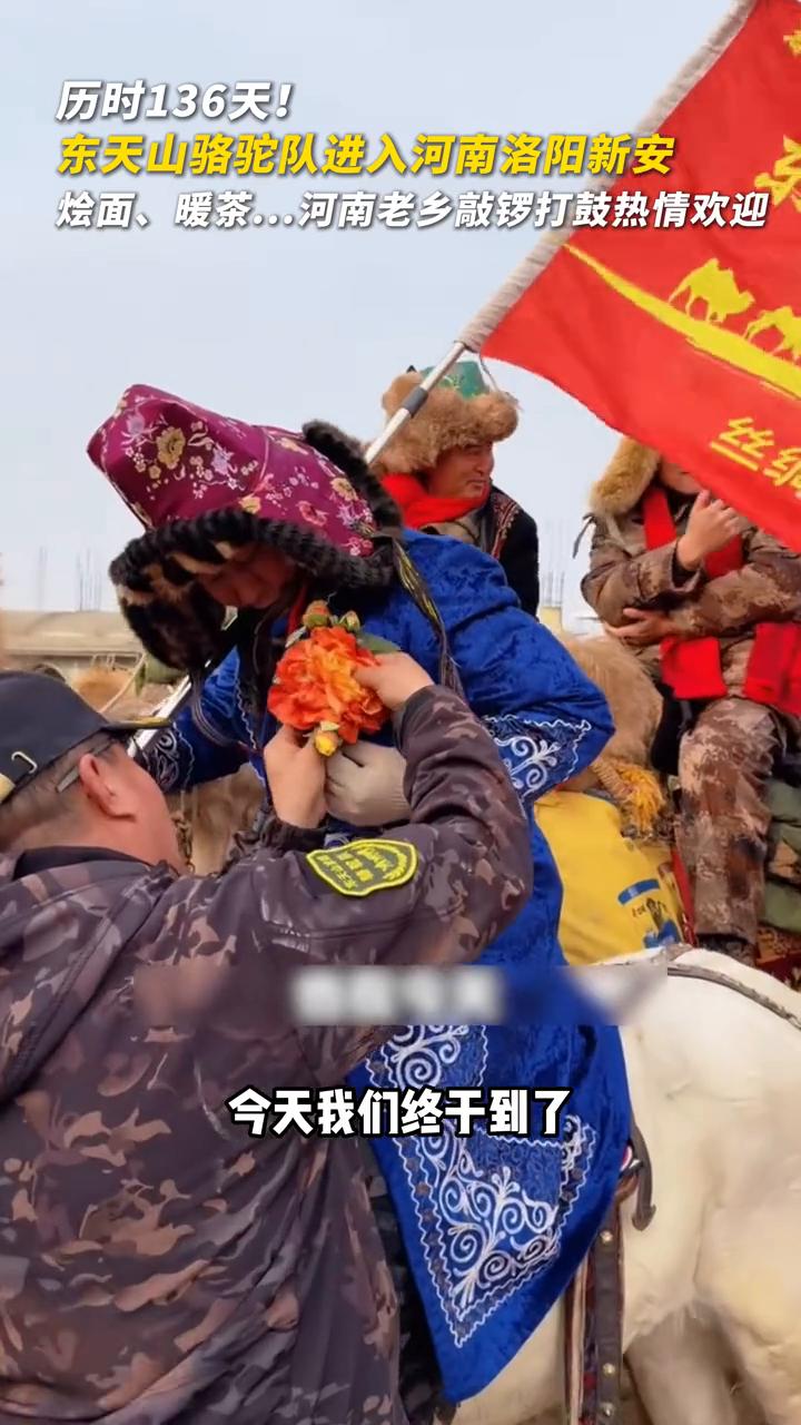 历时136天！东天山骆驼队进入河南洛阳新安，烩面、暖茶...河南老乡敲锣打鼓热情
