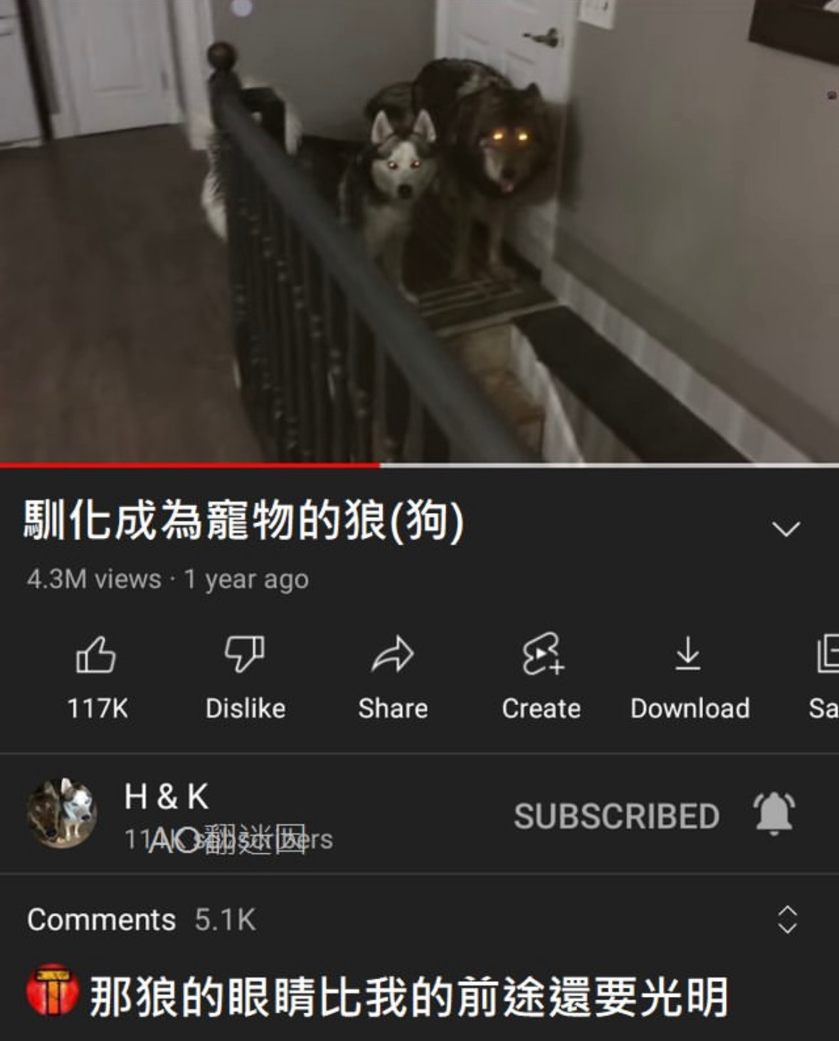 我的前途一片光明memes​​​