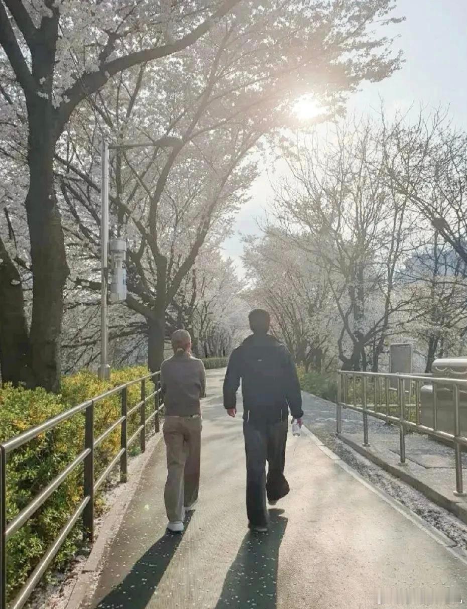 何超莲樱花照窦骁视角近日何超莲晒出一组赏花照，从照片的视角来看，应该是老公窦骁