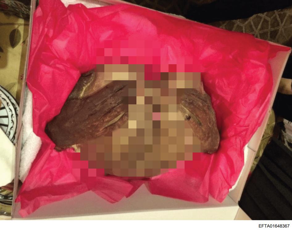 在美国司法部公布的爱泼斯坦档案中，有一组图片，其中一张编号为EFTA016483