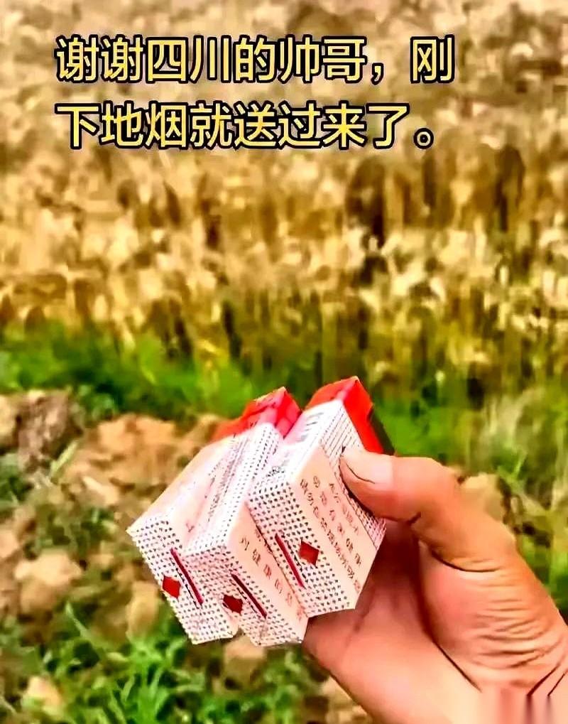 一个开收割机的师傅，最近在网上讲的一件事，直接把我看愣了。他在四川接了个活，给