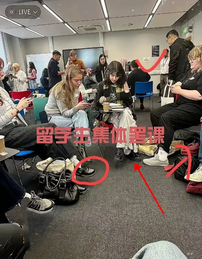 最近好多高校都放出了大动作，扎堆发布外籍留学生清退通知，这事儿在网上可炸开了锅。