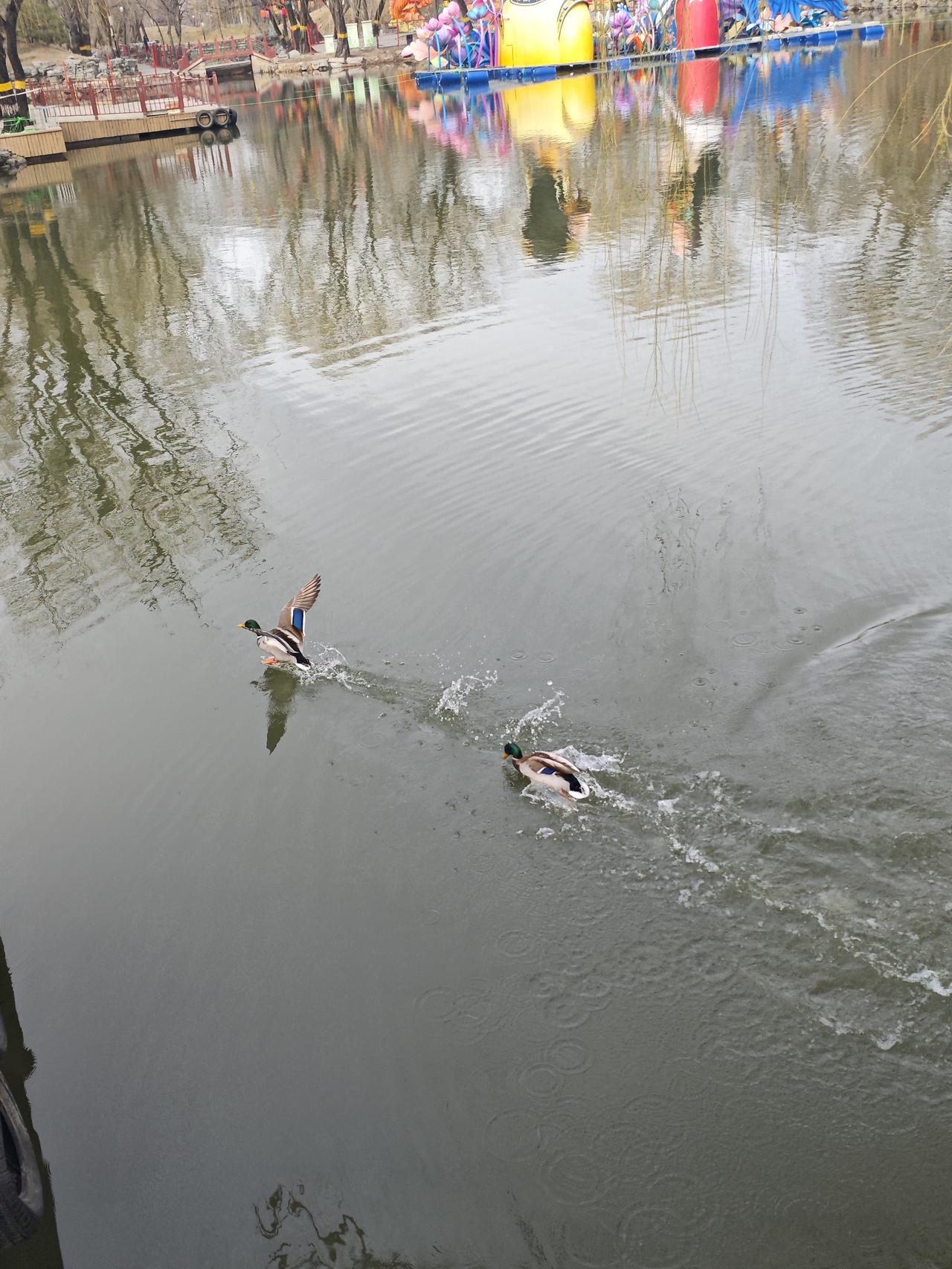 六十岁以后，人生最顶级的享受走过半生风雨，历经岁月沉淀，六十岁以后，我们终