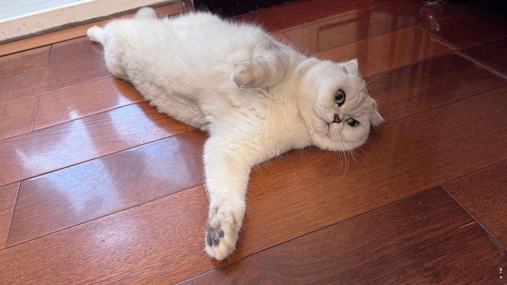 来来来，做题了！！！我家猫准备把92堆猫粮，以及72条小鱼干，平均放在一堆盒子里