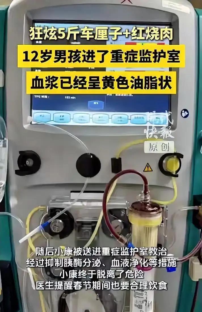 江苏扬州12岁男孩春节狂炫5斤车厘子配红烧肉，血浆竟抽出黄油状液体，ICU抢救四
