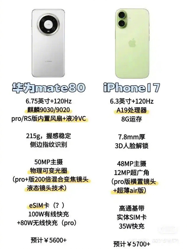 是你会买哪个？