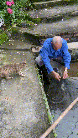 狸花猫很有礼貌，问爷爷要鱼拿回去给宝宝吃…