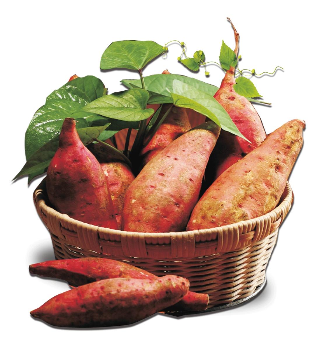 红薯尽量少吃，尤其是4类人，大多数人不清楚，你了解吗？秋风起，红薯香，街