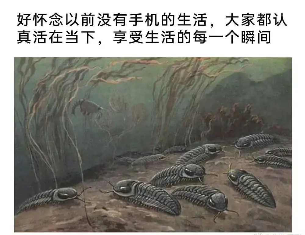 回到草履虫远古时代？🤣