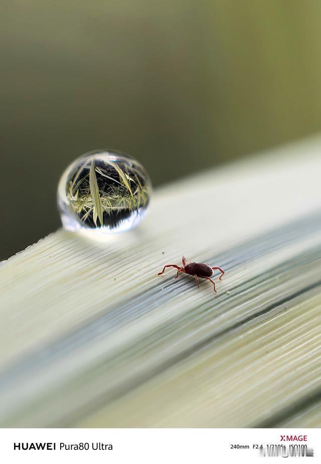 苹果手机，还值得买吗？苹果手机，系统有漏洞，拍照效果也不出彩。但是价钱还是死贵
