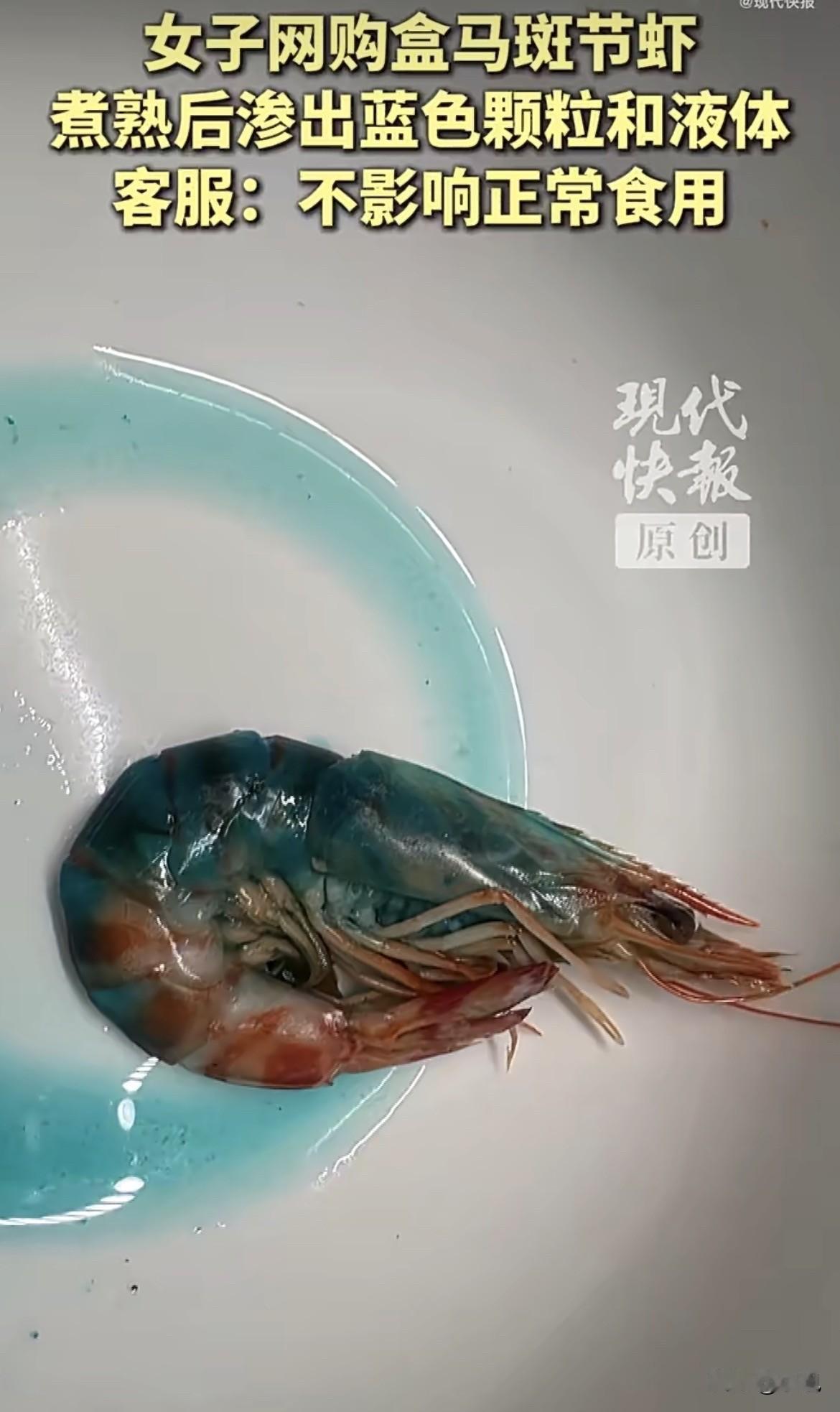 中午从冰箱拿出加热的斑节虾，渗着一片刺眼的蓝。颗粒状的蓝色液体，让王女士瞬间没了