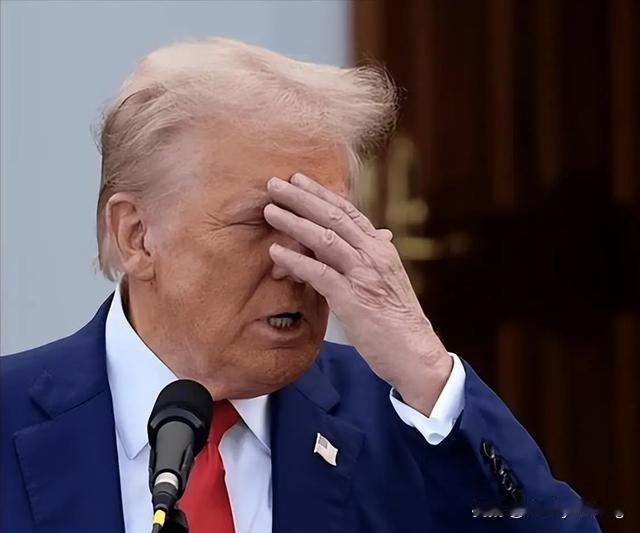 西方人对中国太极存在一个极大的误解，认为我们打太极就是一味地躲闪。这实在是太荒谬