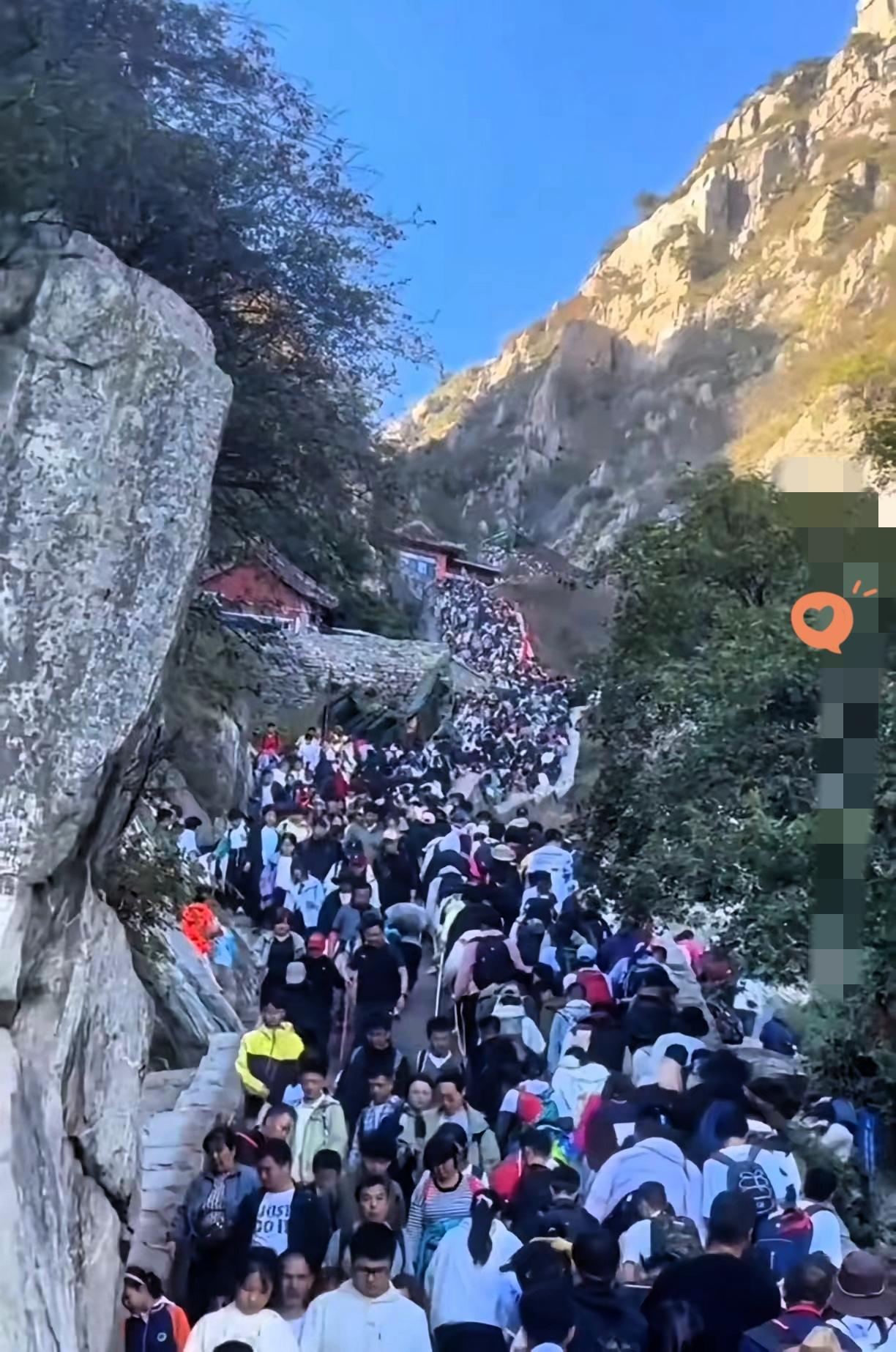 今天刚从泰山挪下来，腿抖得像筛糠，花800块买的哪是门票，分明是份“中年人