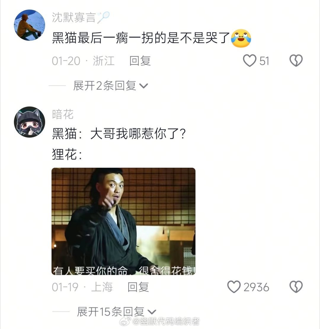 猫咪追杀令原来是真的（
